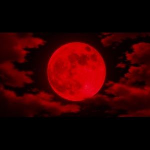 Meet your Posher, Trey